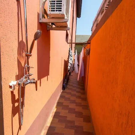 Amalya Pensión Costinesti